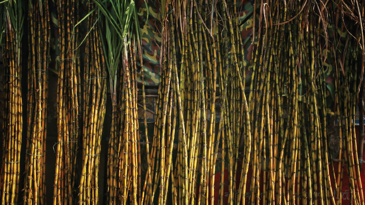 Sahi Dana (শাহীদানা) 100gm